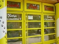 Blökiszervíz főbejárata